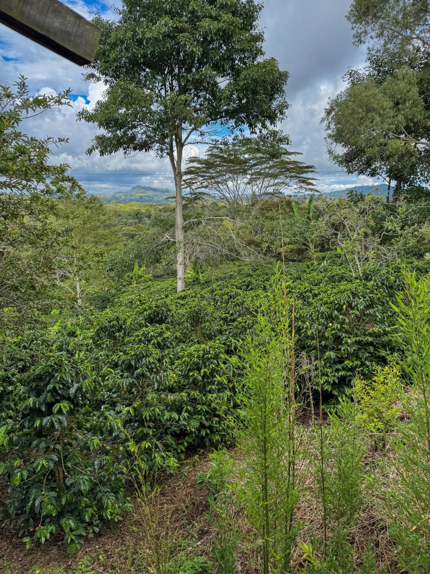 Hostal Pachamama San Agustín 外观 照片