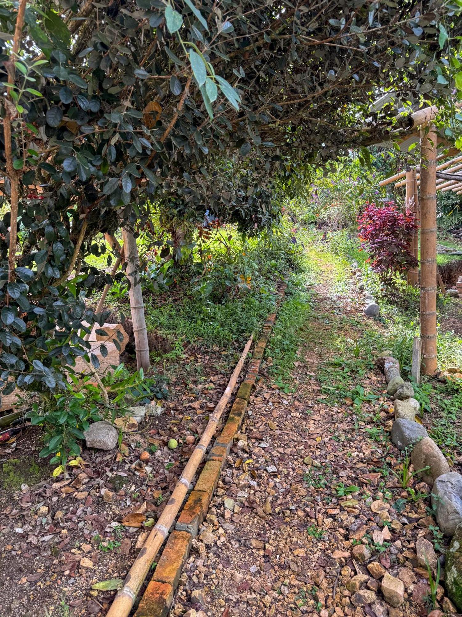 Hostal Pachamama San Agustín 外观 照片