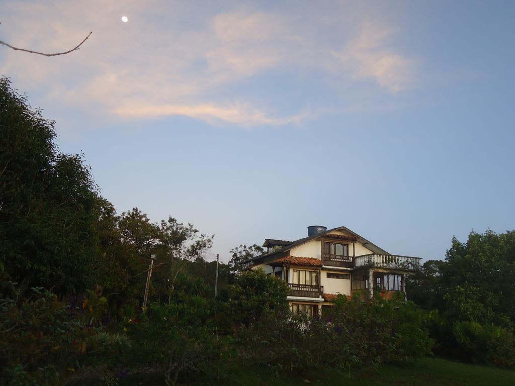 Hostal Pachamama San Agustín 外观 照片
